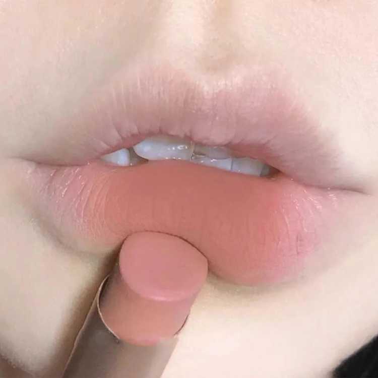 Velvet Matte Lipstick Moisturizing Waterproof Lasting Nude Apricot Lip Tint Non-stick Cup Lip Gloss Lipstick Cosmetics Make Up